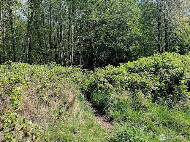11377 US Highway 12, Randle, WA 98377 - photo 36