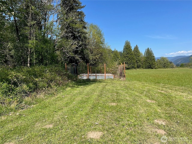 11377 US Highway 12, Randle, WA 98377 - photo 23