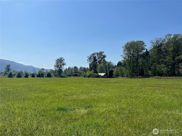 11377 US Highway 12, Randle, WA 98377 - photo 38