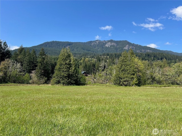 11377 US Highway 12, Randle, WA 98377 - photo 34
