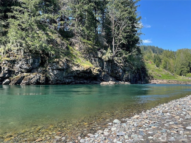 11377 US Highway 12, Randle, WA 98377 - photo 29