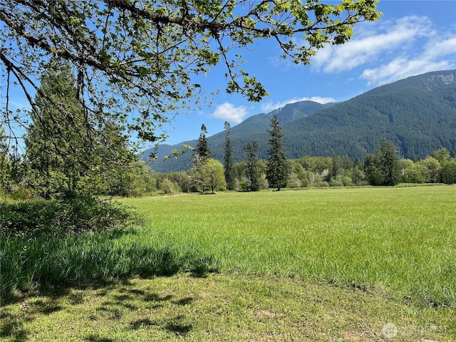 11377 US Highway 12, Randle, WA 98377 - photo 37