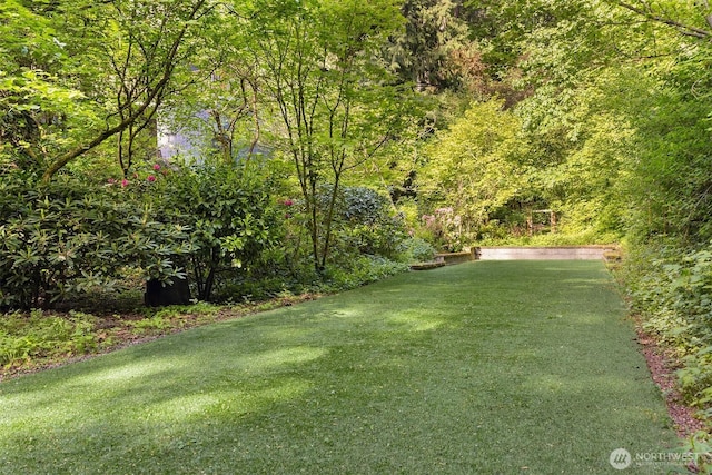 5047 84th Ave SE, Mercer Island, WA 98040 - view of green lawn with a view of trees