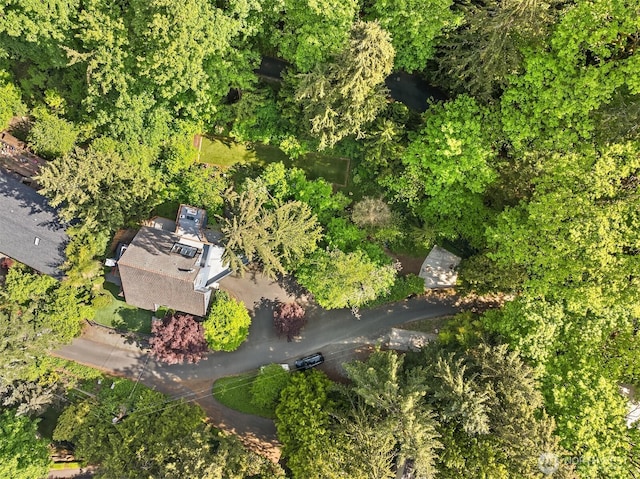 5047 84th Ave SE, Mercer Island, WA 98040 - aerial overview of property's location