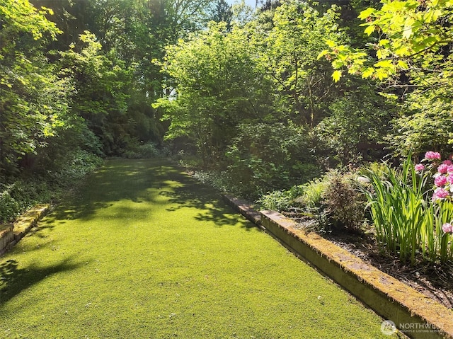 5047 84th Ave SE, Mercer Island, WA 98040 - view of green lawn featuring a forest view