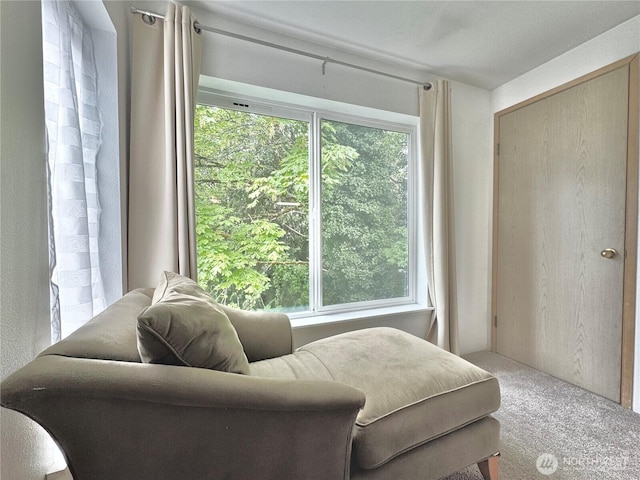 975 Aberdeen Ave NE Unit J303, Renton, WA 98056 - photo 6