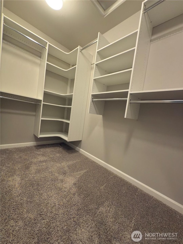 18002 38th Avenue Ct E, Tacoma, WA 98446 - spacious closet with carpet flooring