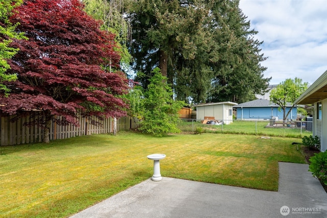 view of yard featuring a patio area