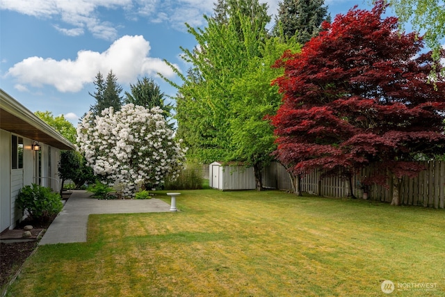 view of yard featuring a storage unit, a patio area, and an outdoor structure