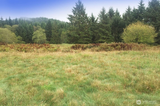 0 S Valley Rd Lot 5, Naselle, WA 98638 - photo 2