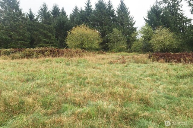 0 S Valley Rd Lot 5, Naselle, WA 98638 - photo 3