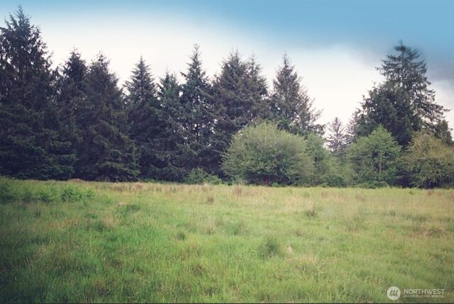 0 S Valley Rd Lot 5, Naselle, WA 98638 - photo 4