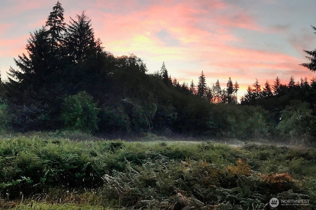 0 S Valley Rd Lot 5, Naselle, WA 98638 - photo 7