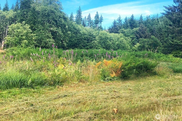 0 S Valley Rd Lot 5, Naselle, WA 98638 - photo 1