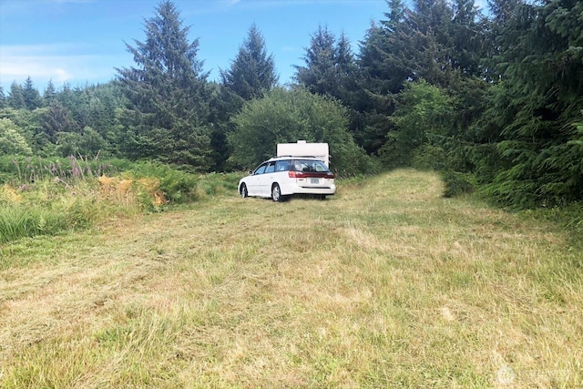 0 S Valley Rd Lot 5, Naselle, WA 98638 - photo 6