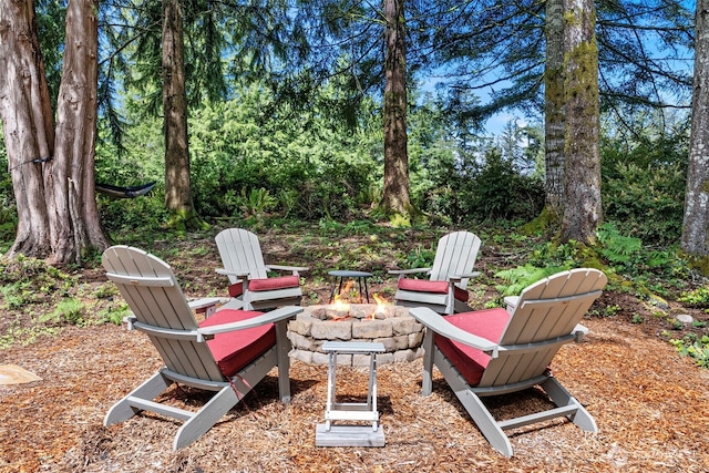 7340 Hawkstone Ave SW, Port Orchard, WA 98367 - view of yard featuring a fire pit