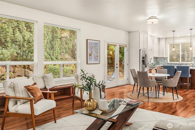 living room featuring wood finished floors and healthy amount of natural light