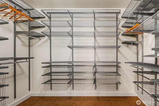 view of spacious closet