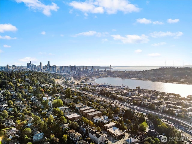 aerial overview of property's location with a large body of water and a skyline view