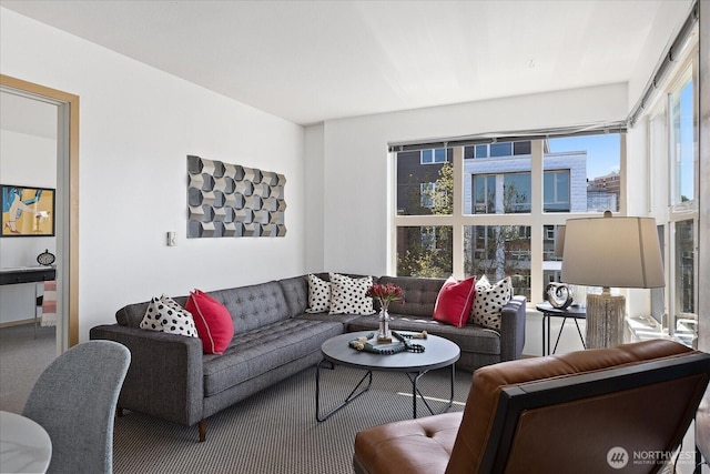 carpeted living room with plenty of natural light