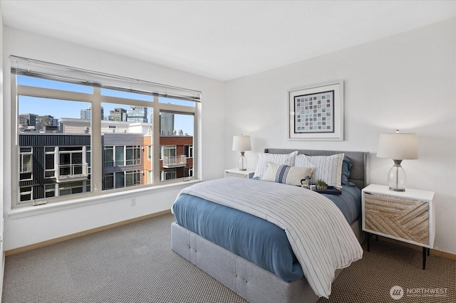 bedroom featuring baseboards, carpet floors, and a view of city