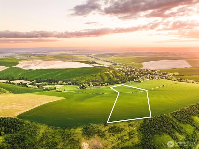 0LOT1 Biscuit Ridge Rd, Walla Walla, WA 99362