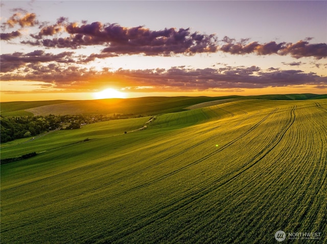 0LOT1 Biscuit Ridge Rd, Walla Walla, WA 99362