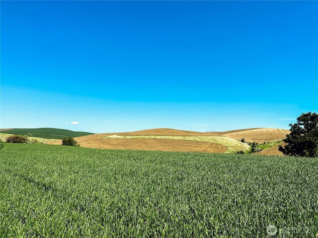 0LOT1 Biscuit Ridge Rd, Walla Walla, WA 99362