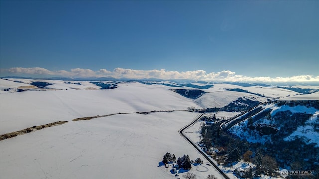 0LOT1 Biscuit Ridge Rd, Walla Walla, WA 99362