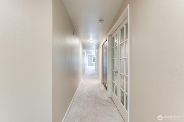 965 W Nickerson St Unit 33, Seattle, WA 98119 - hallway featuring carpet and baseboards
