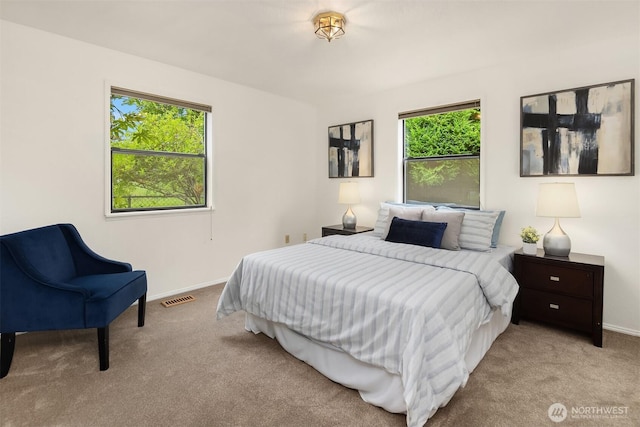 bedroom featuring carpet floors, multiple windows, and baseboards