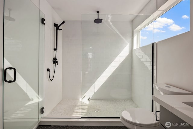 full bath featuring toilet, a shower stall, and vanity