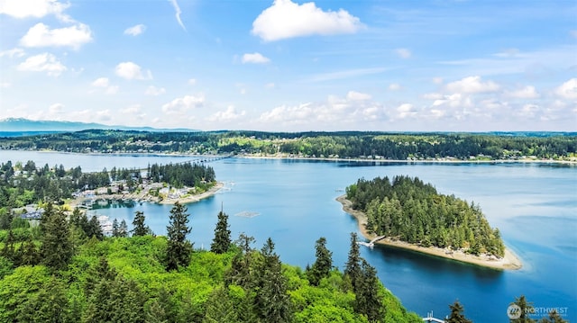 471 Dungeness Dr, Fox Island, WA 98333 - aerial view of a large body of water and a forest