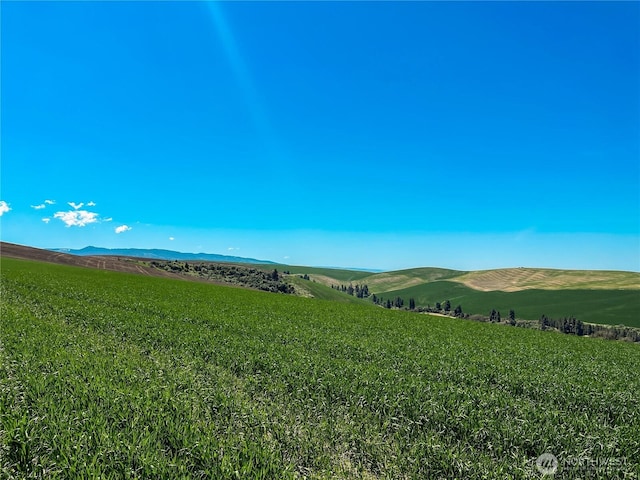 0LOT2 Biscuit Ridge Rd, Walla Walla, WA 99362