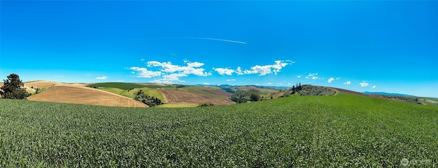 0LOT2 Biscuit Ridge Rd, Walla Walla, WA 99362