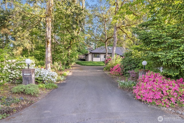 14930 15th Avenue Ct E, Tacoma, WA 98445 - view of property hidden behind natural elements