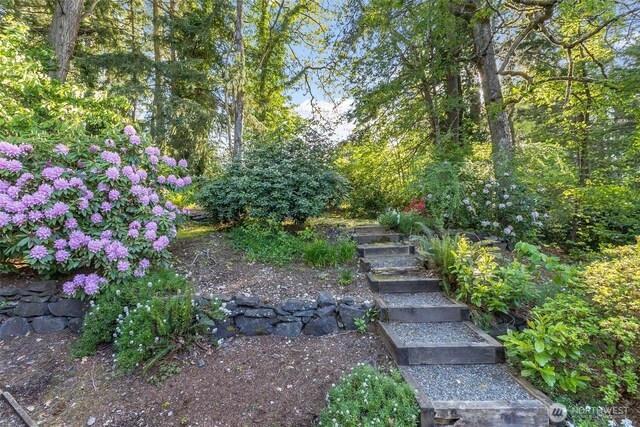 14930 15th Avenue Ct E, Tacoma, WA 98445 - view of yard featuring stairs
