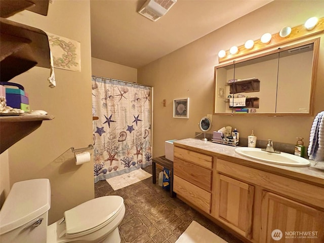 588 Mineral Creek Rd, Mineral, WA 98355 - full bathroom with toilet, vanity, and curtained shower