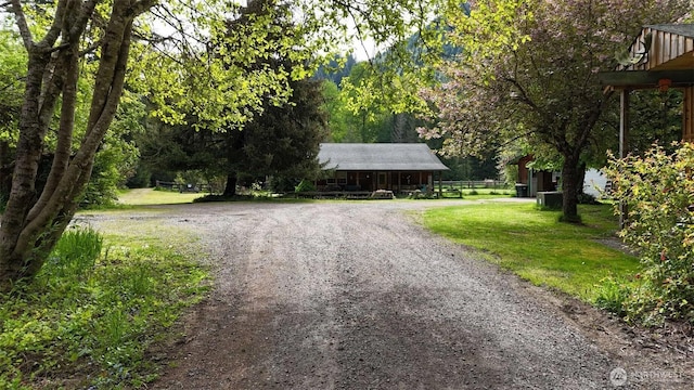 588 Mineral Creek Rd, Mineral, WA 98355 - view of dirt / gravel driveway