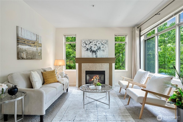 1000 Aurora Ave N Unit 311, Seattle, WA 98109 - living room with plenty of natural light and a glass covered fireplace