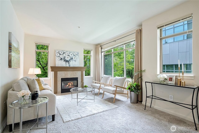 1000 Aurora Ave N Unit 311, Seattle, WA 98109 - living area featuring healthy amount of natural light, a glass covered fireplace, and carpet flooring