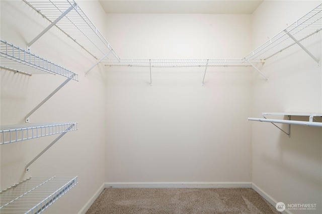 1000 Aurora Ave N Unit 311, Seattle, WA 98109 - spacious closet with carpet floors