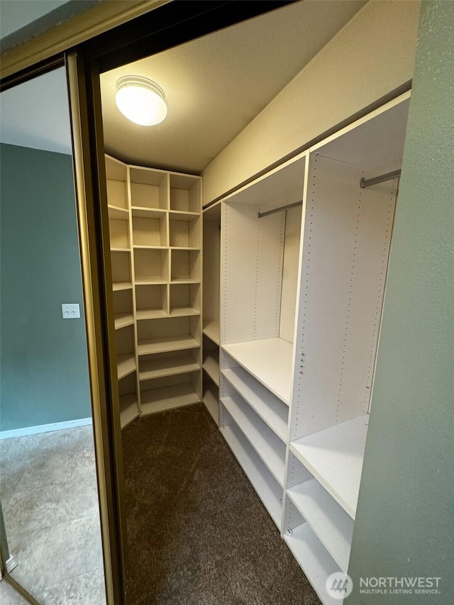 11857SE 321st Pl, Auburn, WA 98092 - spacious closet with carpet floors