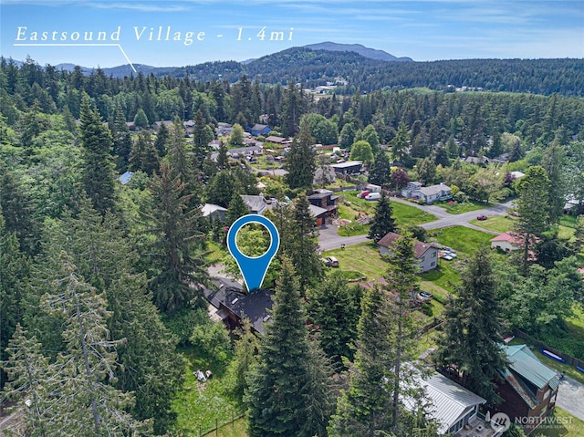 255 Alder St, Orcas Island, WA 98245 - aerial overview of property's location featuring a heavily wooded area and a mountainous background