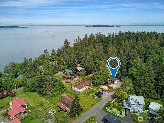 255 Alder St, Orcas Island, WA 98245 - bird's eye view of a large body of water