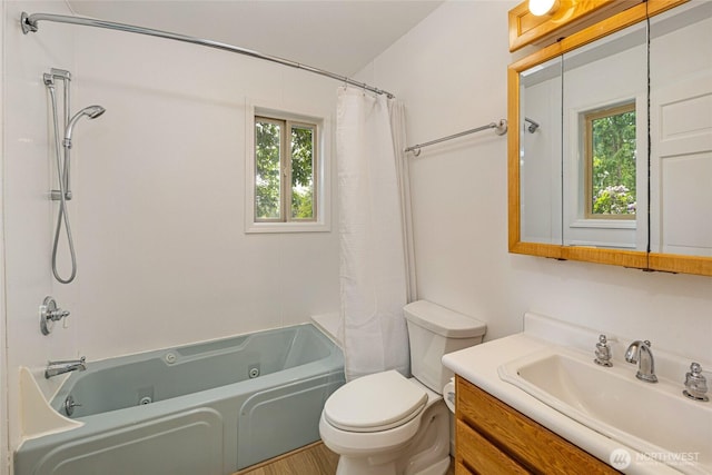 255 Alder St, Orcas Island, WA 98245 - full bathroom featuring healthy amount of natural light, vanity, a combined bath / shower with jetted tub, and toilet