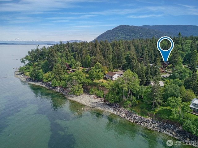 255 Alder St, Orcas Island, WA 98245 - bird's eye view of a forest and a water and mountain view