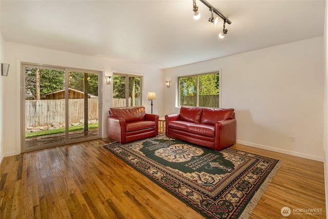 255 Alder St, Orcas Island, WA 98245 - living area featuring wood finished floors, baseboards, and rail lighting