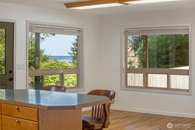 255 Alder St, Orcas Island, WA 98245 - dining space featuring baseboards, light wood-style flooring, and healthy amount of natural light