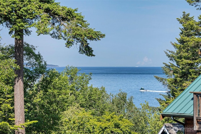 255 Alder St, Orcas Island, WA 98245 - water view
